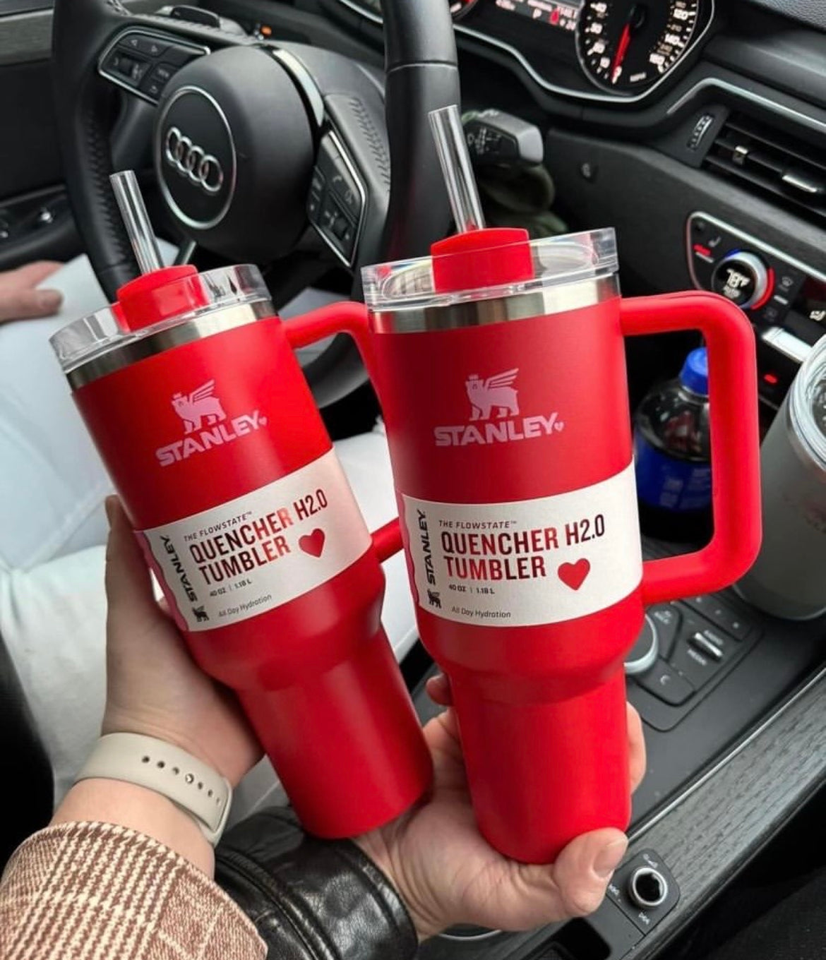 (Factory Surplus) Stanley Quencher H2.0 FlowState Stainless Steel Vacuum Insulated Tumbler with Lid and Straw for Water, Iced Tea or Coffee