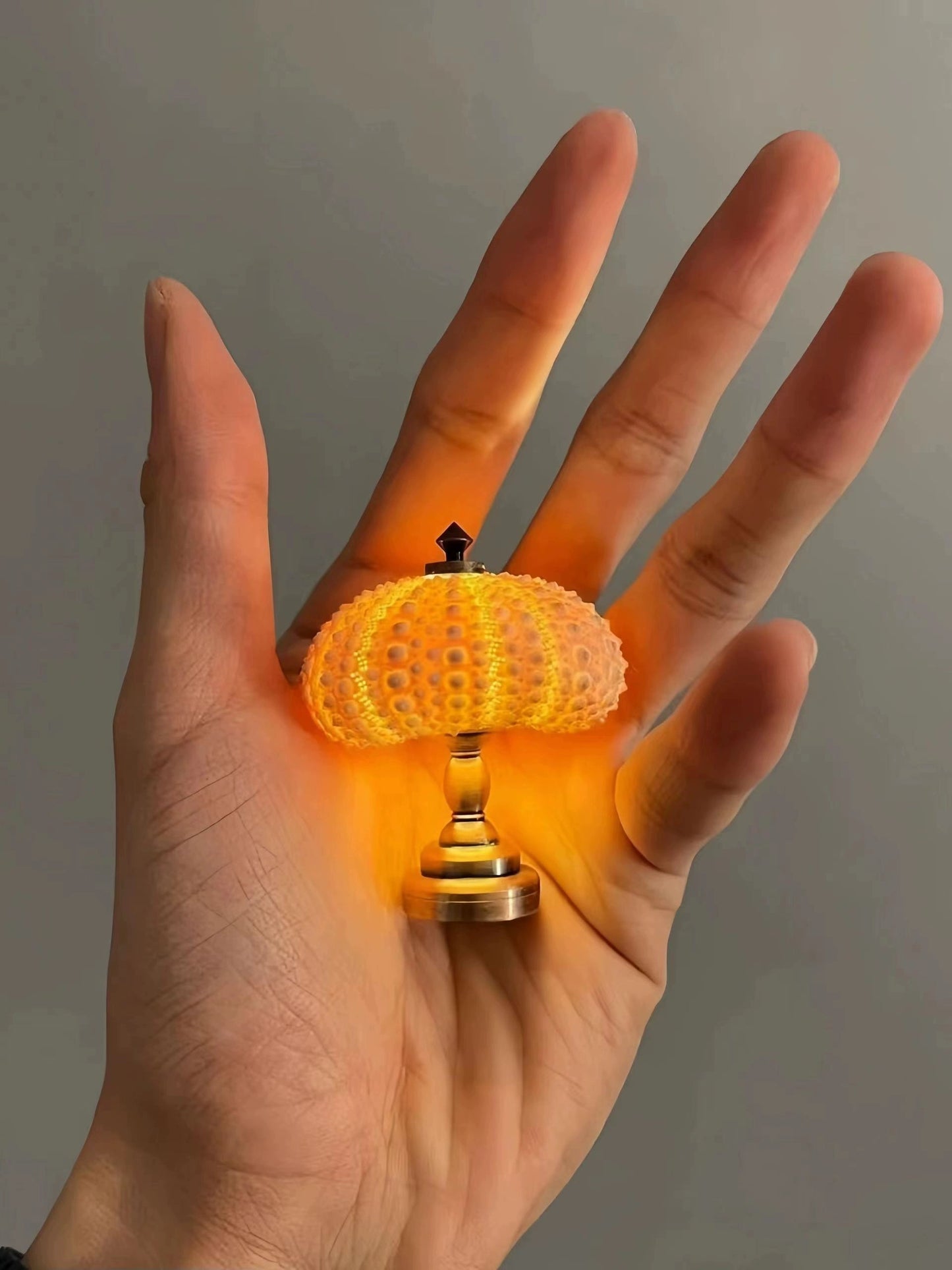 DIY Sea Urchin mini lamp material kit