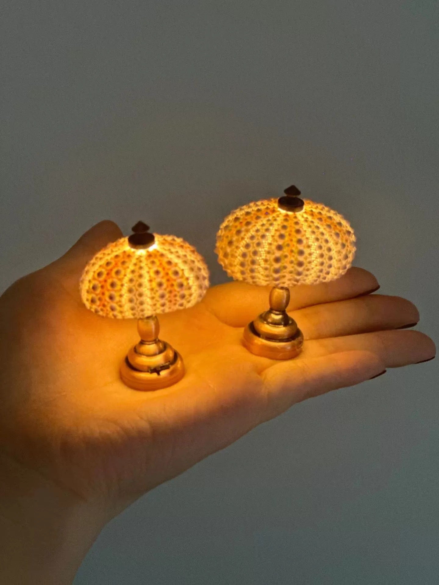 DIY Sea Urchin mini lamp material kit