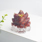 Crystal Epoxy Resin The Crown Nine-Tailed Fox Doll Series