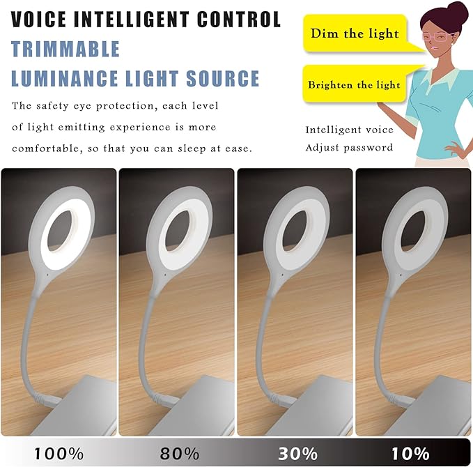 Voice Control USB Light for Laptop Keyboard LED Reading Lamp Portable Small Night Light with Flexible Gooseneck