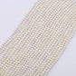 (No.5 Shell Beads)Natural ocean shell pearl beads for jewellery making