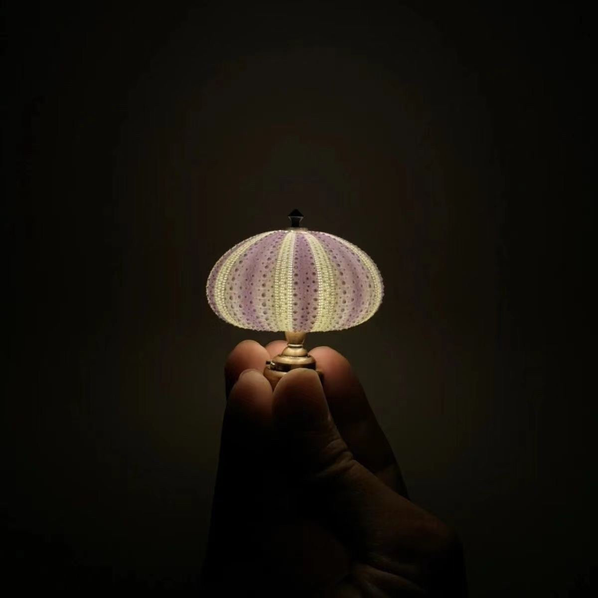 DIY Sea Urchin mini lamp material kit