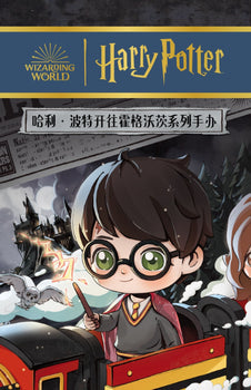 POPM Harry Porter To Hogwarts Serie for age 15+